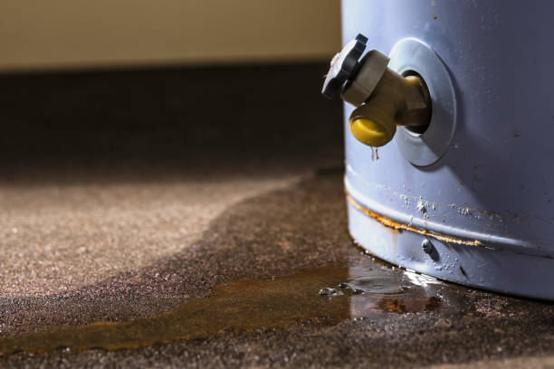 Best Flood damage cleanup  in Jnstown, OH