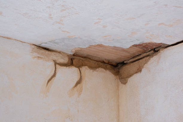 Best Water damage cleanup near me  in Jnstown, OH