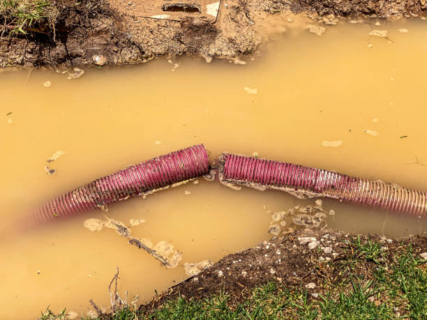 Best Sewage cleanup and water damage restoration  in Jnstown, OH
